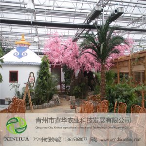 温室餐厅