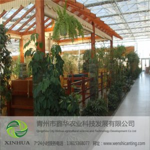 <b>生态餐厅</b>